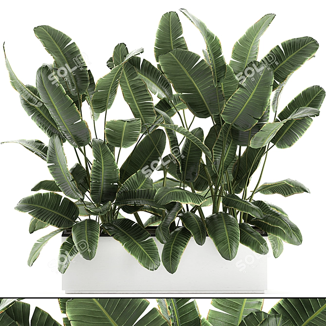 Exotic Indoor Plants in White Vase 3D model image 1