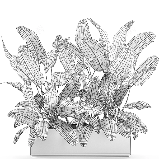 Exotic Indoor Plants in White Vase 3D model image 5