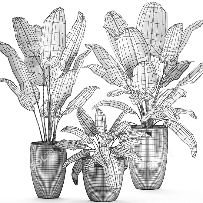 Exotic Plant Basket Collection 3D model image 5
