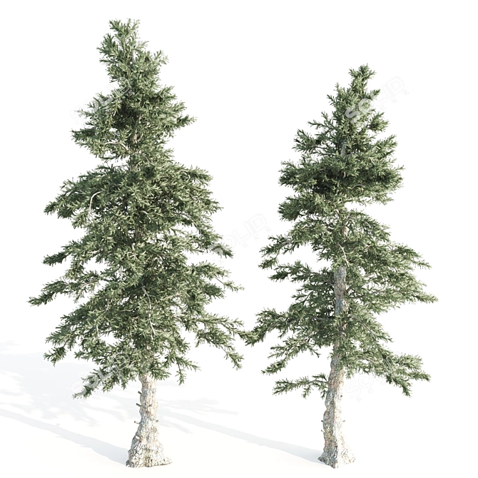 4 Pines-Vray: A Russian Delight 3D model image 3