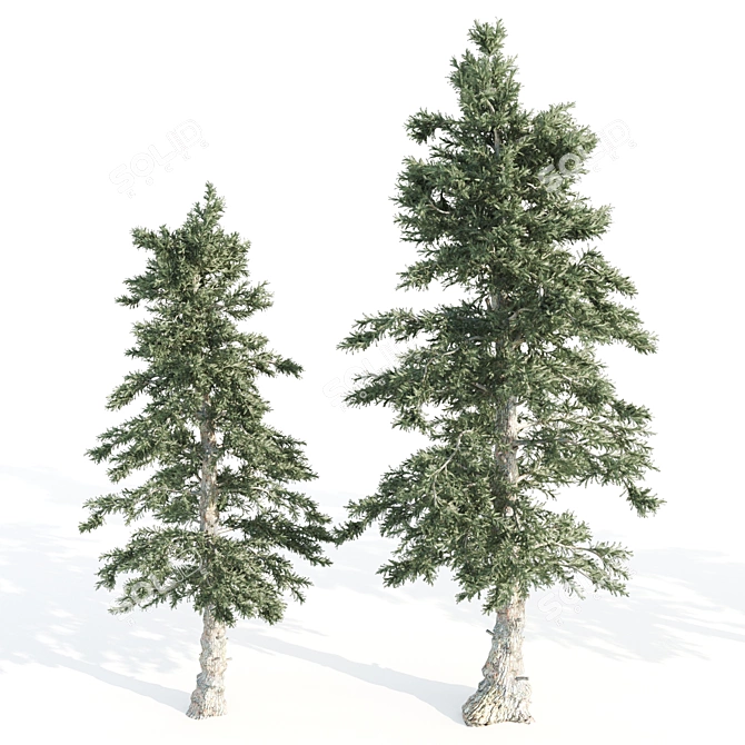 4 Pines-Vray: A Russian Delight 3D model image 4