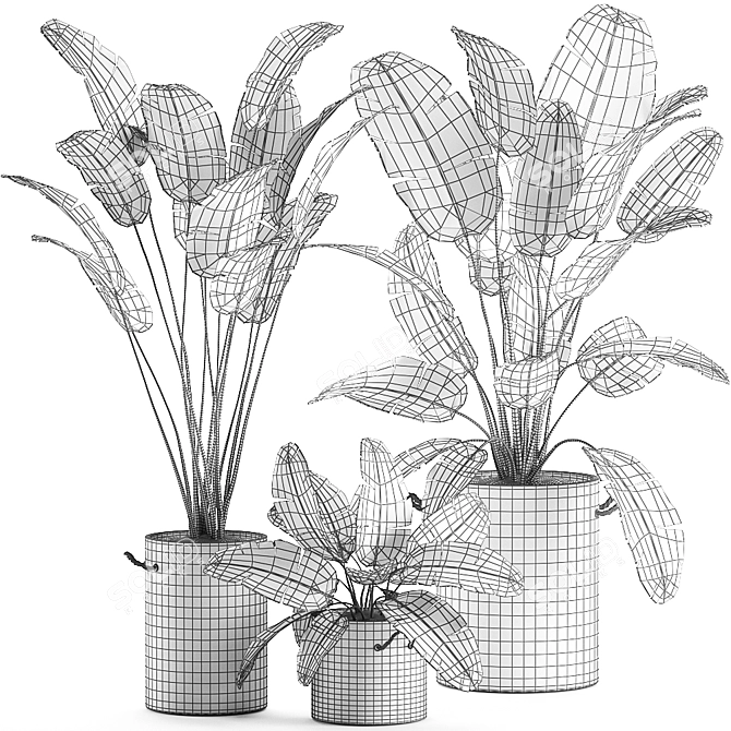 Indoor Concrete Plant Collection 3D model image 5