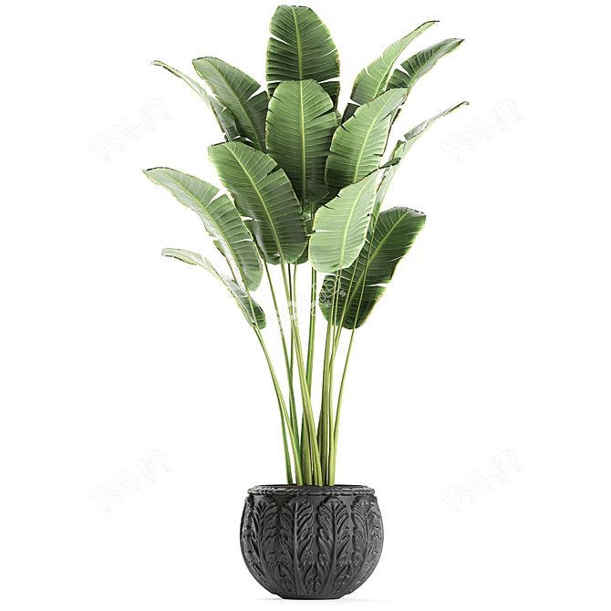 Exotic Plant Collection in Classic Vase 3D model image 3