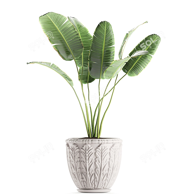 Exotic Plant Collection in Classic Vase 3D model image 4