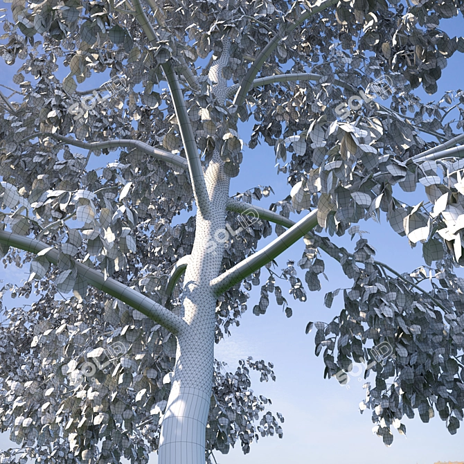 Realistic Birch Trees: Detailed 3D Models 3D model image 5