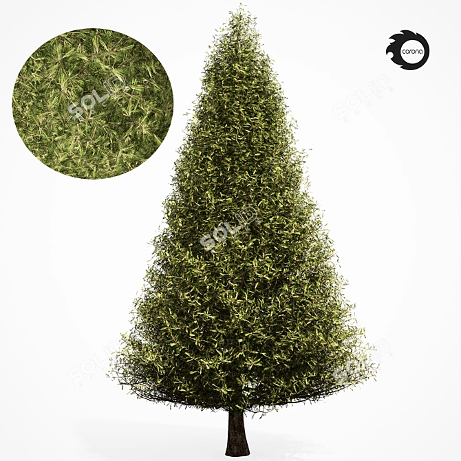 Realistic Pine Tree 6S 3D model image 2