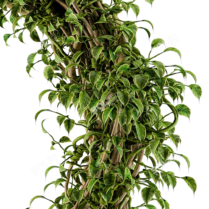 Botanical Bliss Wall Decor 3D model image 3