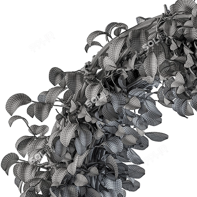 Botanical Bliss Wall Decor 3D model image 5