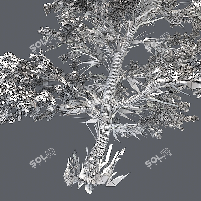 Plitvice Natural Maple Tree 3D model image 5