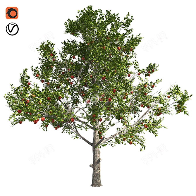 Optimized Red Apple Tree 3D model image 1