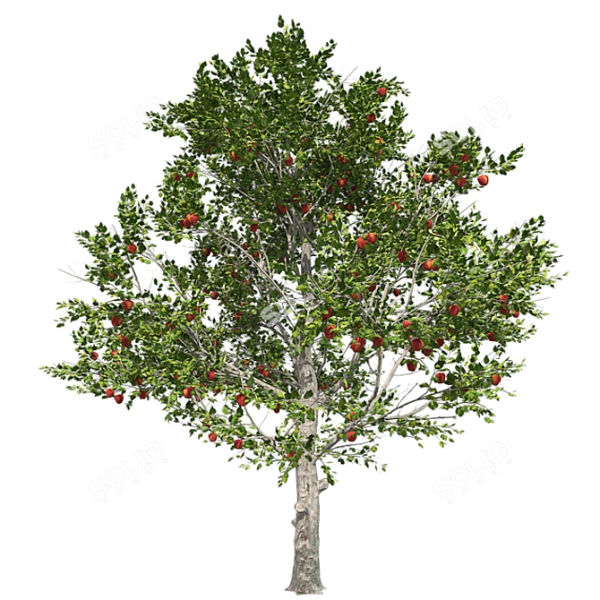 Optimized Red Apple Tree 3D model image 4