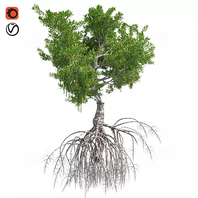 Title: Crimson Oasis Mangrove 3D model image 1