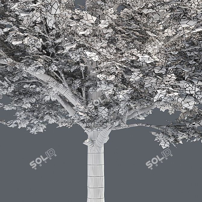 Vibrant Red Maple Tree - High-Quality 3D Model 3D model image 5