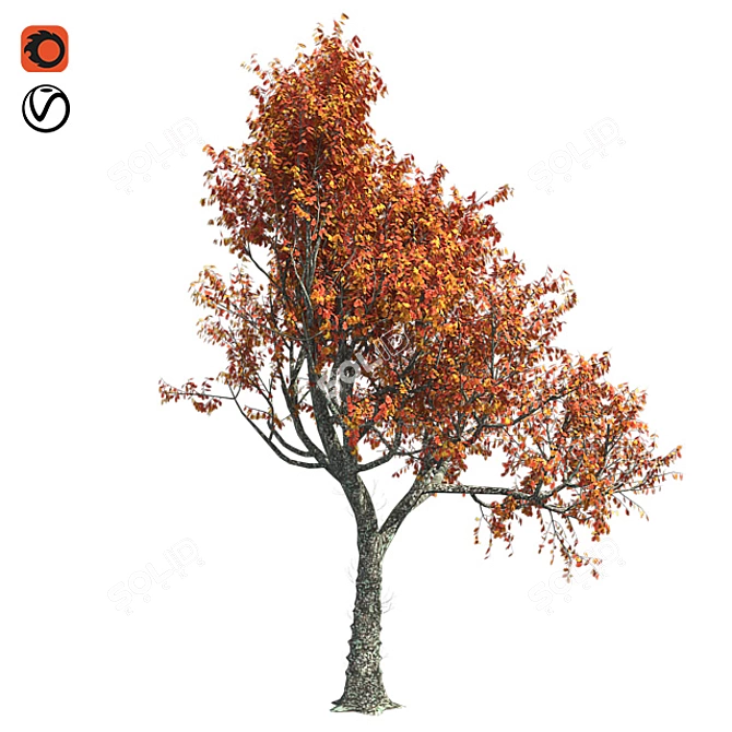 Autumn Oak Tree - Realistic 3D Model 3D model image 1