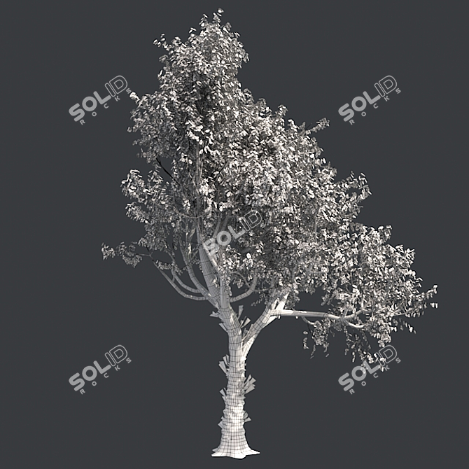 Autumn Oak Tree - Realistic 3D Model 3D model image 5