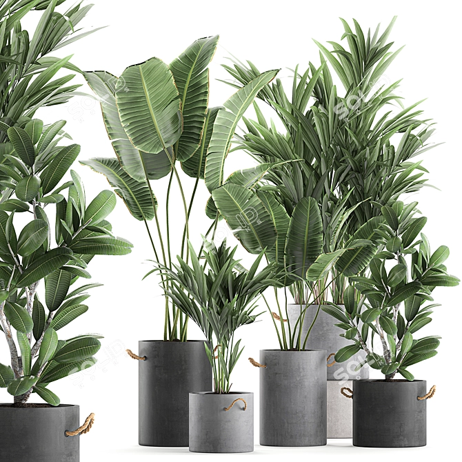 Exotic Plant Collection: Concrete Pot Decor 3D model image 1