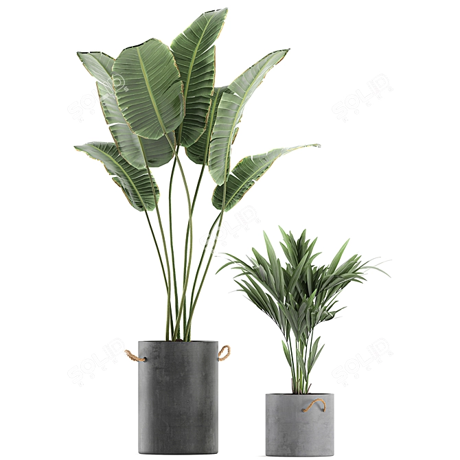 Exotic Plant Collection: Concrete Pot Decor 3D model image 3