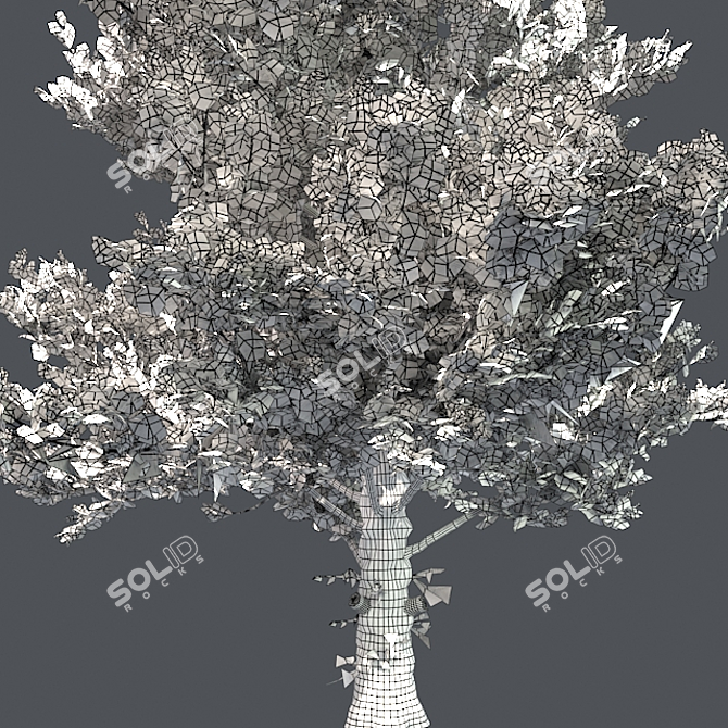 Optimized Maple Tree: Real-Wo 3D model image 5