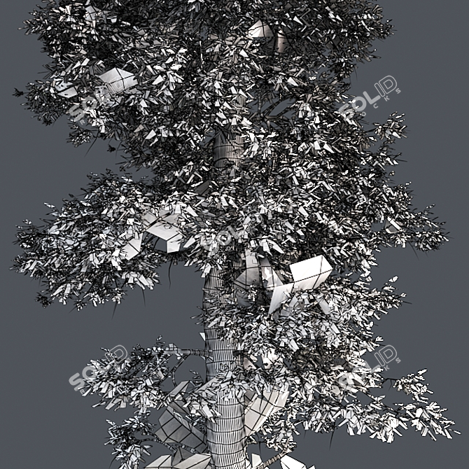Optimized Quad Textured Bald Cypress Tree 3D model image 5