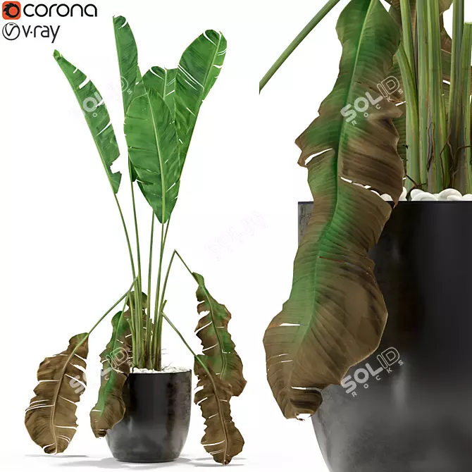 Lush Greenery Set 3D model image 1