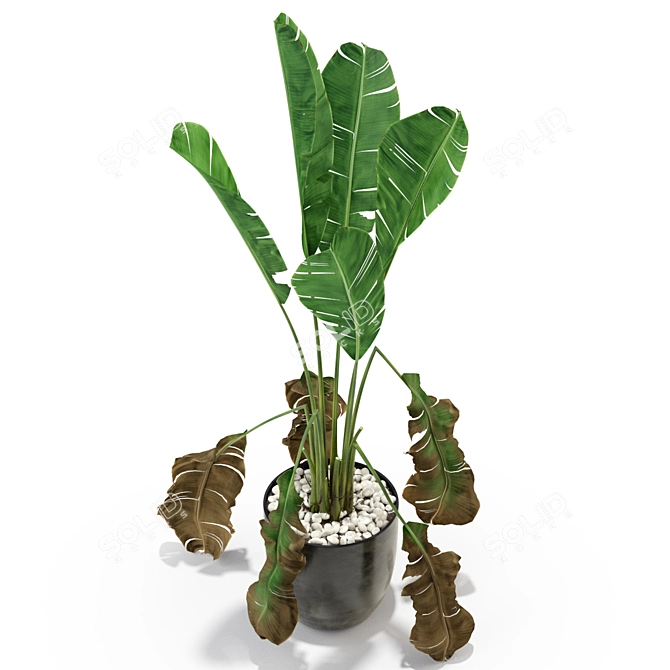 Lush Greenery Set 3D model image 2