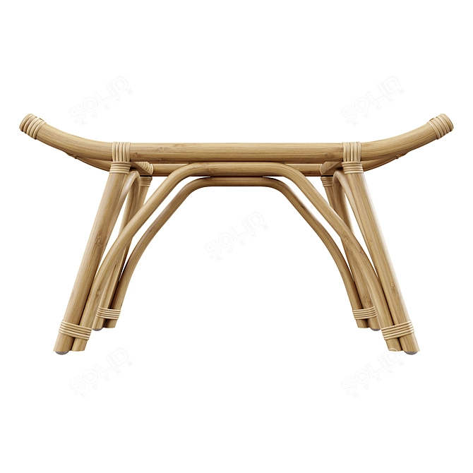 Rattan Bliss Bench 3D model image 2