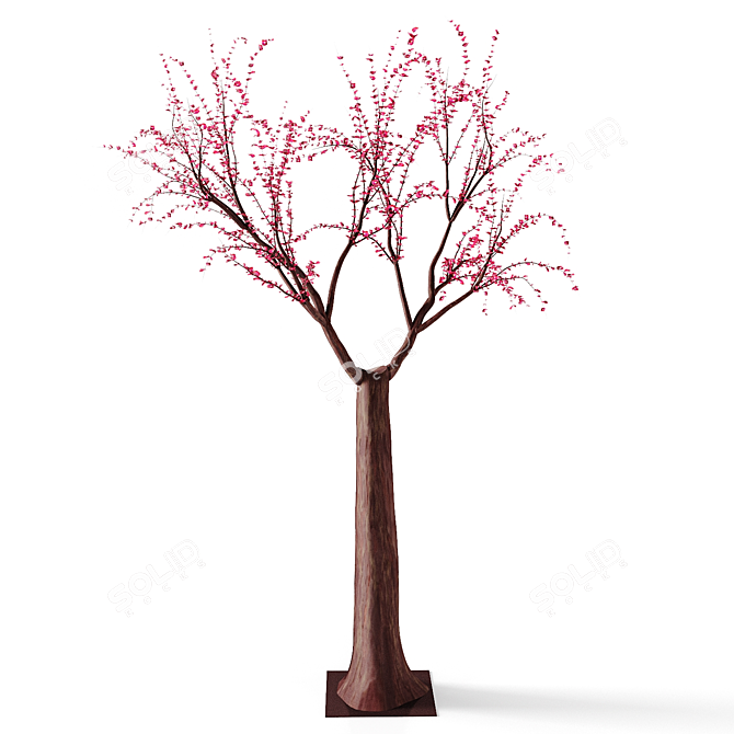 Blooming Beauty: Osaka Cherry Tree 3D model image 3