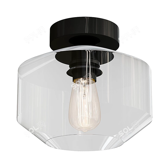 Industrial Ceiling Light Fixture TeHenoo 3D model image 1