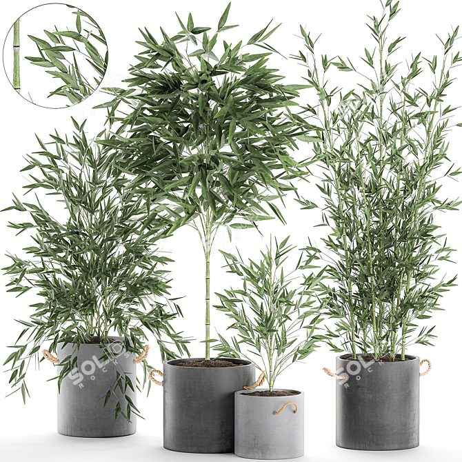 Exotic Bamboo: Decorative Plant Collection 3D model image 1