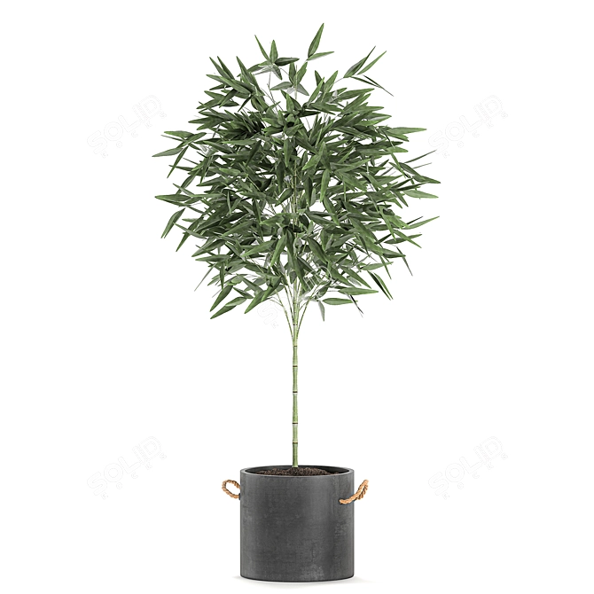 Exotic Bamboo: Decorative Plant Collection 3D model image 3