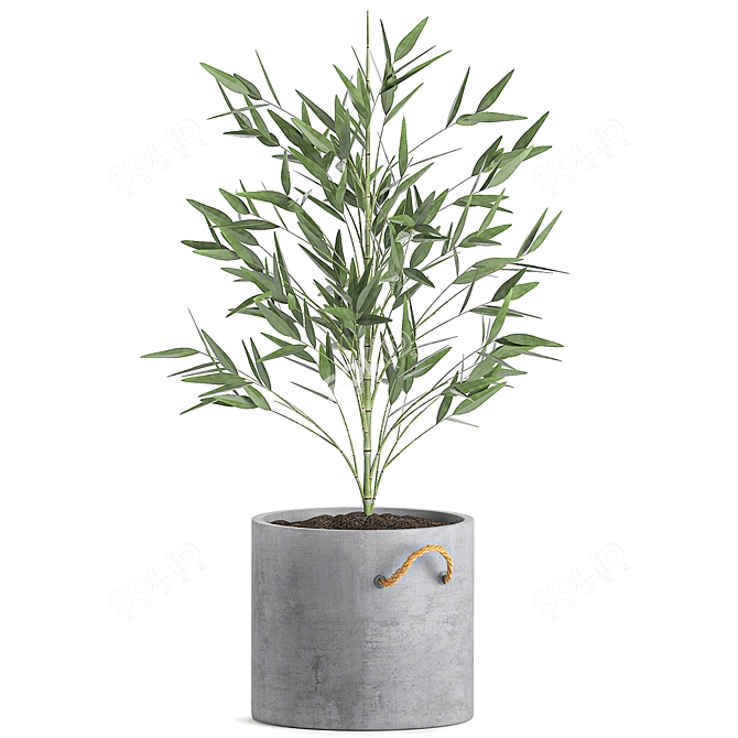 Exotic Bamboo: Decorative Plant Collection 3D model image 4