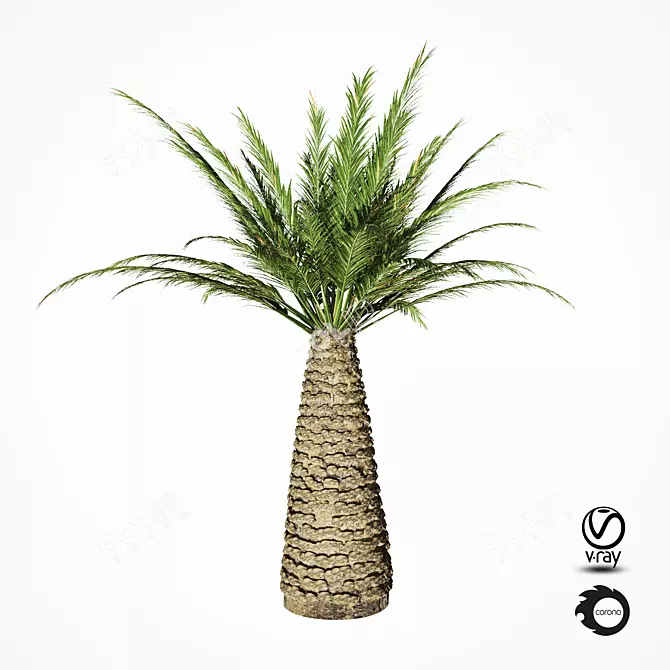 Tropical Palm Tree Replica 3D model image 3