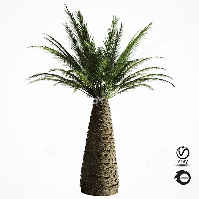 Tropical Palm Tree Replica 3D model image 5
