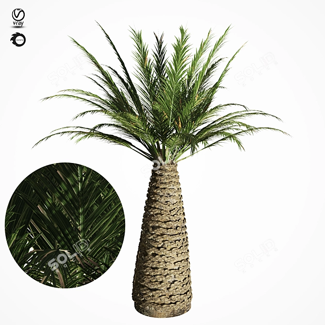 Tropical Palm Tree Replica 3D model image 7