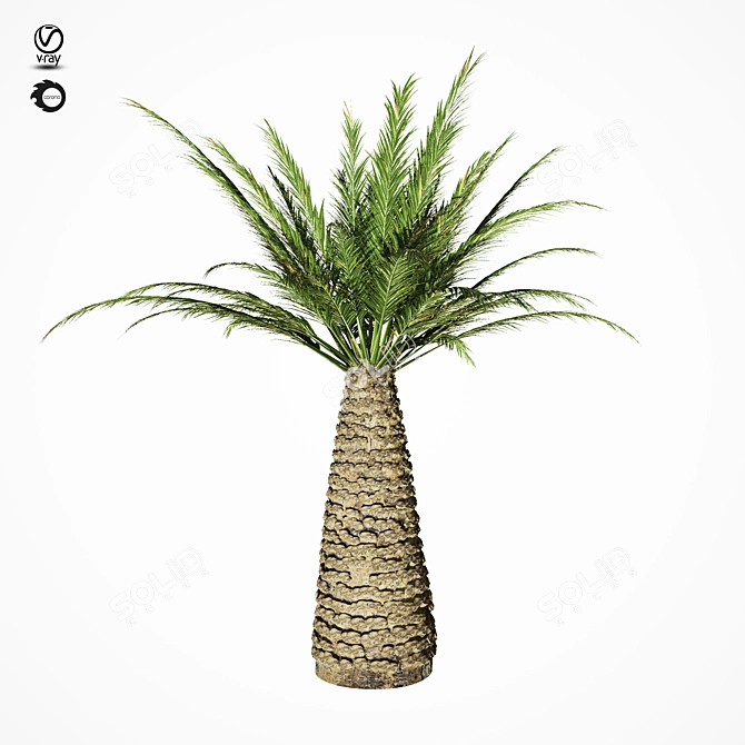 Tropical Palm Tree Replica 3D model image 10