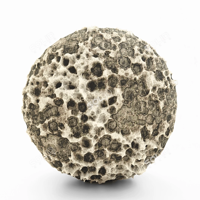 Volcanic Rock PBR Material 3D model image 1