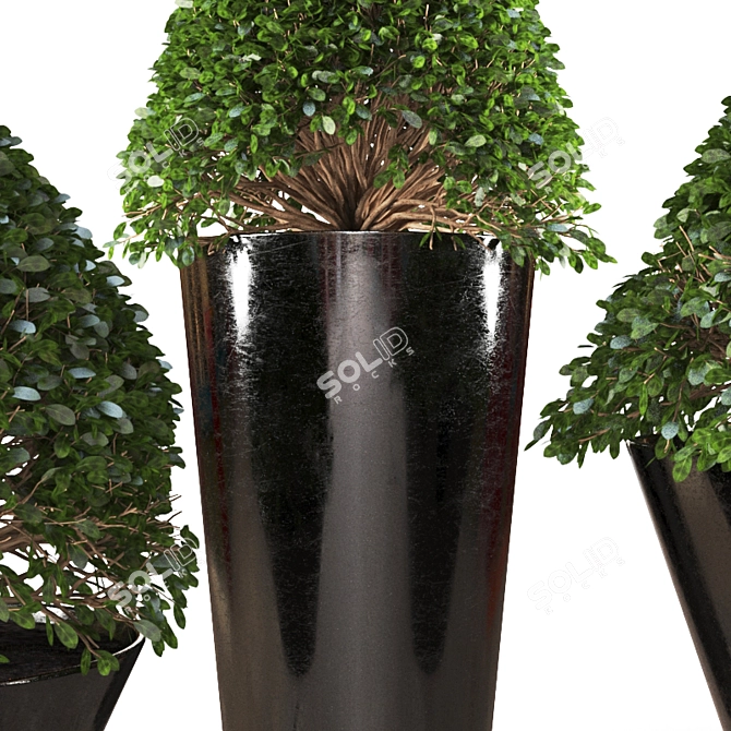 Botanical Poly Sculpture 3D model image 2