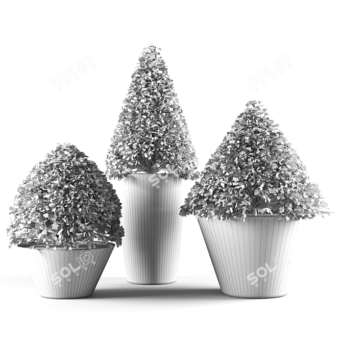 Botanical Poly Sculpture 3D model image 3