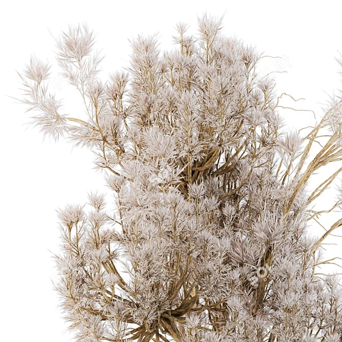 Everlasting Charm: Dry Plants 09 3D model image 3