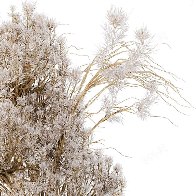 Everlasting Charm: Dry Plants 09 3D model image 4