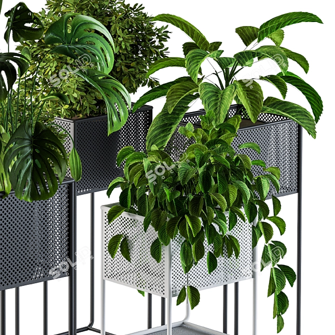 Green Oasis Indoor Plant Collection 3D model image 3