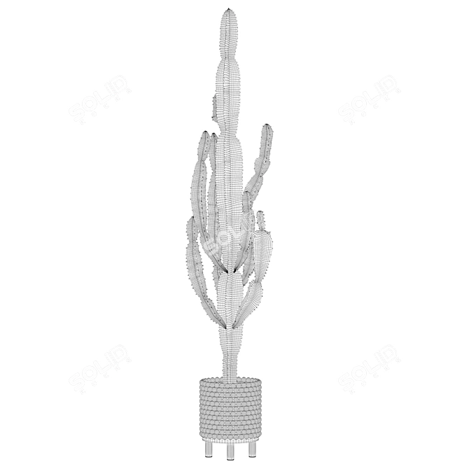 Euphorbia Candelabrum: Indoor Cactus 3D model image 5