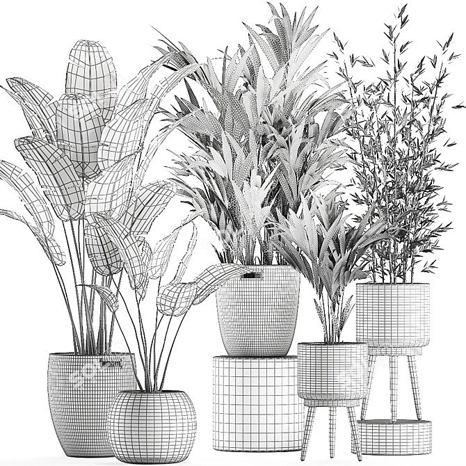 Exotic Indoor Plant Basket Collection 3D model image 5