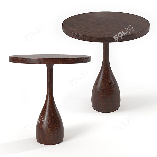 Darby Dark Walnut Side Table: Elegant and Functional 3D model image 3