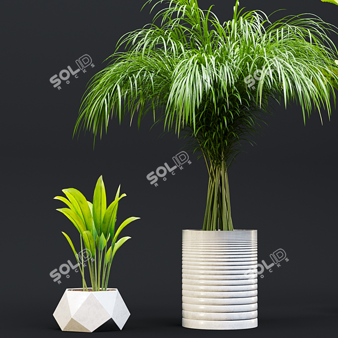 Exotic Houseplant Collection 3D model image 2