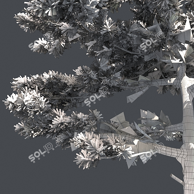 Huangshan Pine Tree - 3D Optimized Model 3D model image 5