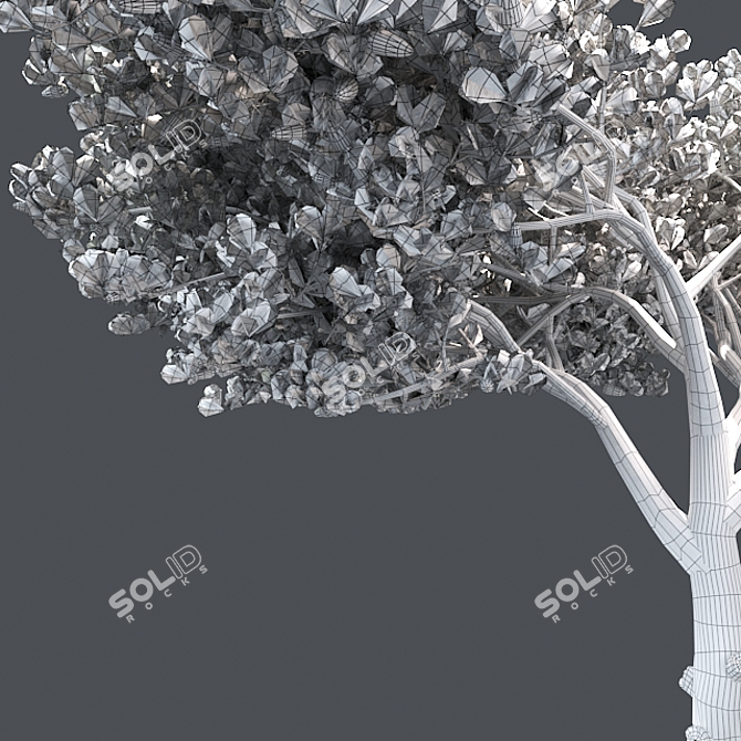 Italian Cypress 3D Tree 3D model image 5