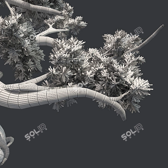 Optimized Jeffrey Pine Tree - Realistic 4K Textures 3D model image 5