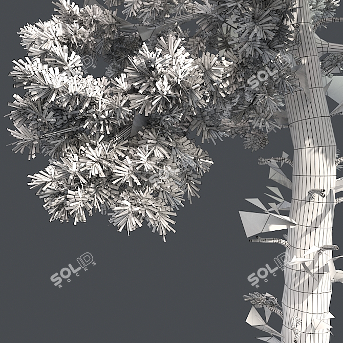 Lush Loblolly Pine: Optimal Quad Topology 3D model image 5