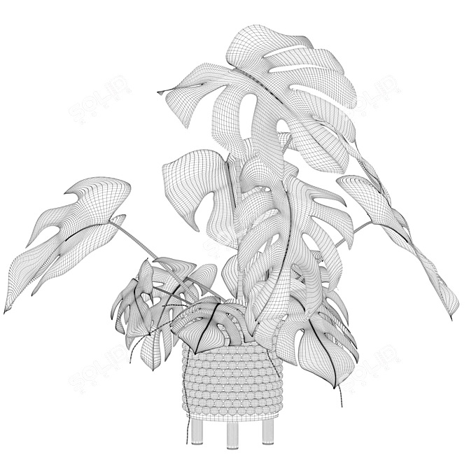 Tropical Monstera Plant - 90cm 3D model image 4